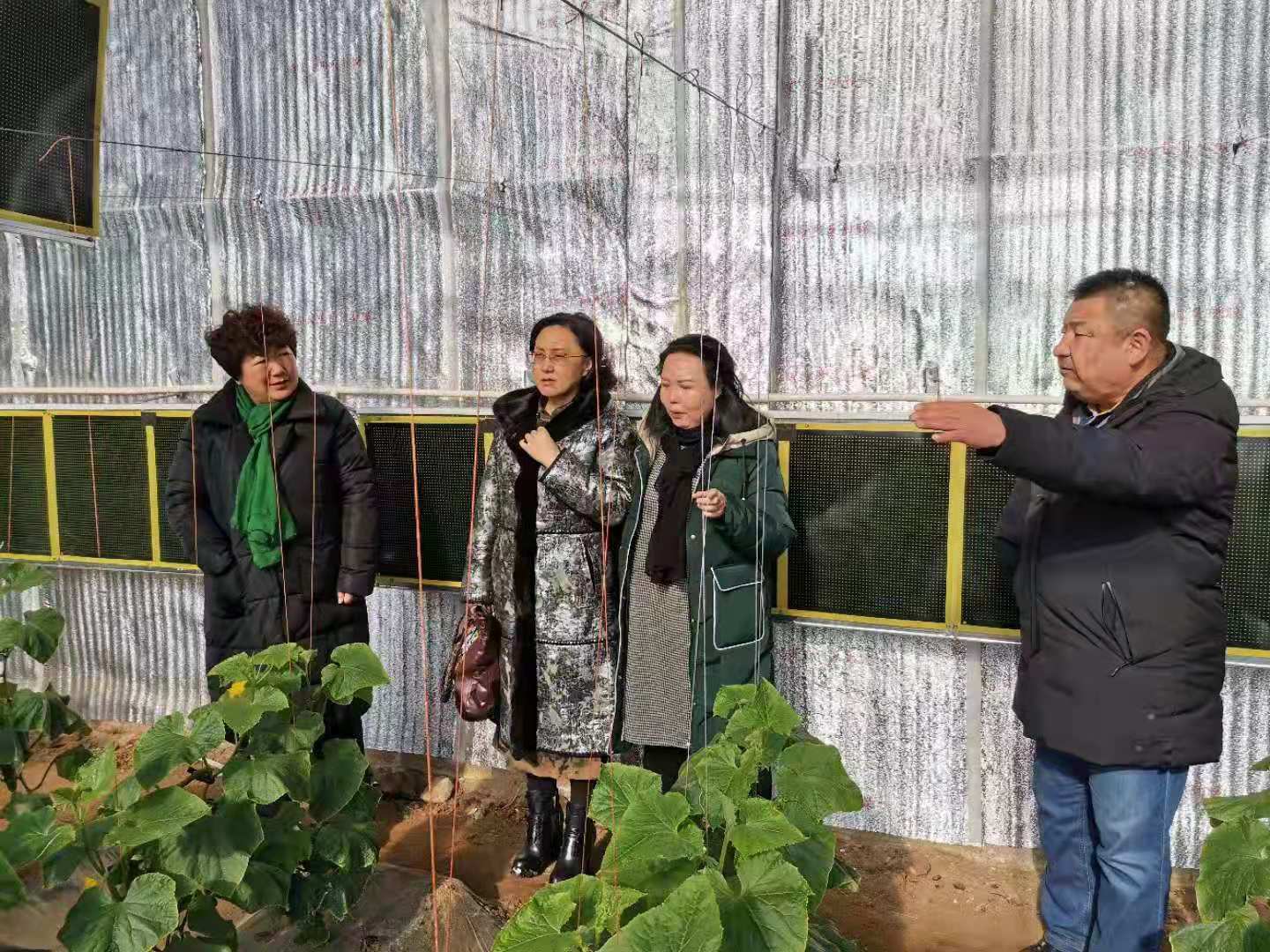 微信图片_202001200814001.jpg